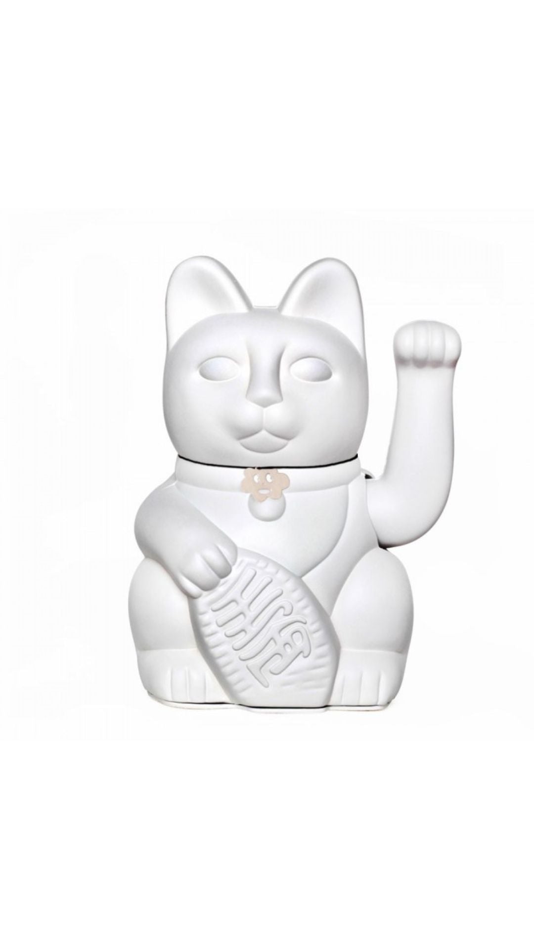 white cat