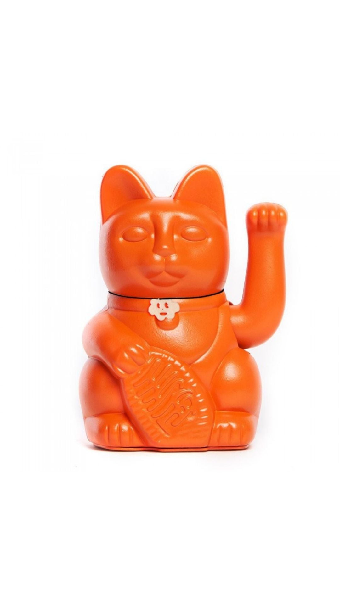 orange cat